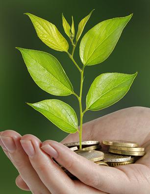 269 Economic Development / Celebrating Local Heroes