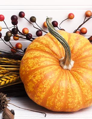 Celebrations / Shop Local / 269 Photo Contest Winners